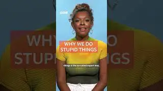 Why we do stupid things | BBC Ideas 