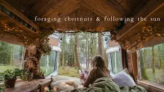 Autumnal Adventures in our Cosy Wooden Campervan 🌿 Ep. 9