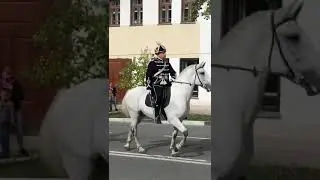 Чёрные гусары