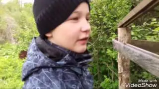 Домик на дереве.Часть 1.