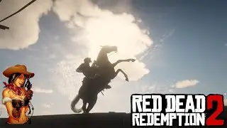 Taming 2nd Best Horse In Red dead redemption 2 | Road to 2k