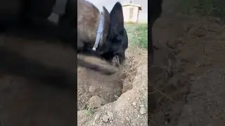 Когда наконец-то вырвался на коп!😃