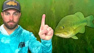 I Wish I Knew This 1 BASS FISHING Tip Sooner