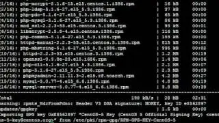 shell commands how to install phpmyadmin in linux