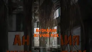 S.T.A.L.K.E.R - Аномалия «Жгучий пух». Рассказчик Сидорович