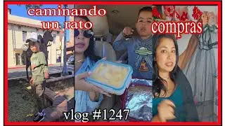 sigue enfermo + comida + compras / vlog #1247 / normy vlogs
