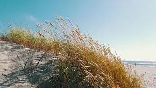 пос. Янтарный