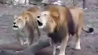 АЛЛОХУ АКБАР