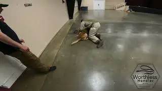 Quick roll with Ricky