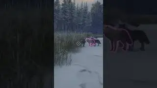 Egg white wolf|The hunter|Medved Taiga|