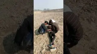 mare ga Sala 😂dhaml movie comedy 😂  scene #shorts