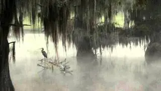 Tony Joe White-Goin' Down Rockin'