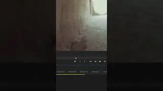 How to Reverse Video in Premiere Pro?