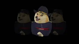 Doges singing 