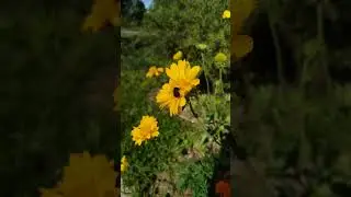 #природа