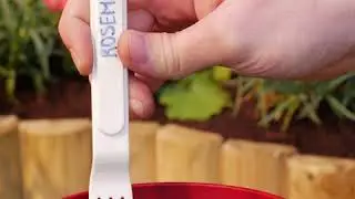 Label Your Plants