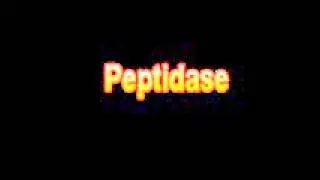 What Is The Definition Of Peptidase Medical School Terminology Dictionary