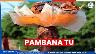 DENIS MPAGAZE : USIOGOPE MTU PAMBANA TU WATAKUELEWA