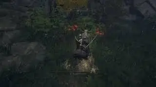 invisible rowa fruit (ELDEN RING ofc)