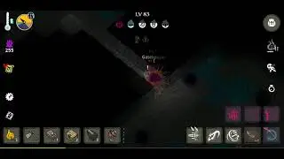 Shredding Light Keeper with No Heals! (Assassin) ~ The Wild Darkness