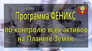 Программа ФЕНИКС по контролю всех активов на Планете Земля