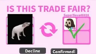 Transforming MY INVENTORY To OWL! | Did i got it successfully? | (Welcome To My First Video!)