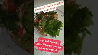 Алтай. Чемал. Кафе Рафт-Кофе, ул. Советская, 6. Здесь всегда вкусно! 