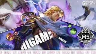 🙀Перед М5 Продолжаем выводить героев в топы мира (или нет?) а? - Mobile Legends Bang Bang | HIGAMI