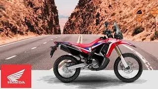 2020 Honda CRF250L(R)(A) Dual Sport Motorcycle