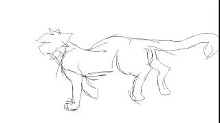 run\animation test\