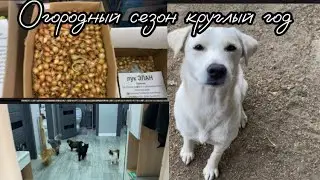 1043❤️Сельские будни домохозяйки