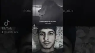 Лучший друг