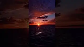трек! shaman! огонь🔥! рек/рекомендации!