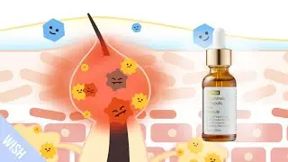 How does Wishtrend Polyphenols in Propolis 15% Ampoule Improve Acne-prone Skin type?