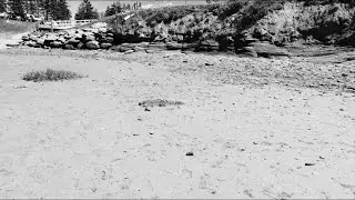 Relax || A Silent Film