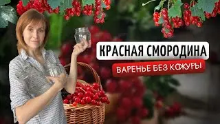 ВАРЕНЬЕ ИЗ СМОРОДИНЫ БЕЗ КОЖУРЫ | Заготовки на зиму своими руками