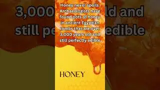 Facts about Honey#viral #facts #nature