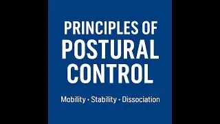 The Principles of Postural Control | Movement Professional Mentorship