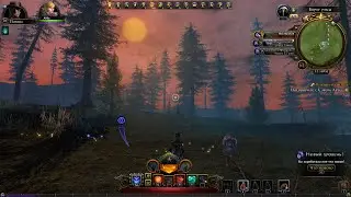 Пикник на Берегу - Мастерская Neverwinter-Online