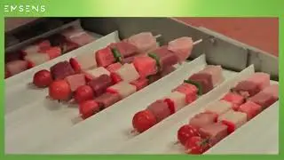 EMSENS   TRADITION EVOLUTION Skewering Machine