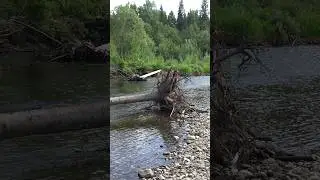 4. Завал на реке Каква. Первый обнос