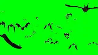 Green screen effects | Flying bats | No copyright