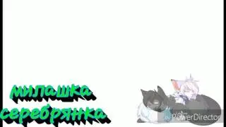 коты воители(миру мир)