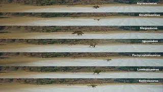 Comparing The Speed of EVERY Herbivore | Path of Titans (OLD)