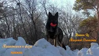 Викинг Из Тигровой Династии. Траектория и фазы прыжка.