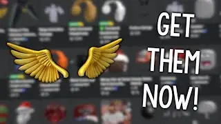 THE GOLDEN SPARKLING WINGS ARE BACK, GET THEM NOW!!