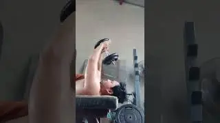 dumbbell pullover chest💪 #chestworkout #dumbellsworkout #dumbbellpullover #fitness #healtylifestyle