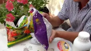 Удобрения для виноградника