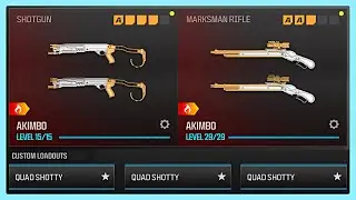 why do you have four shotguns