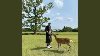 2024 JAPAN